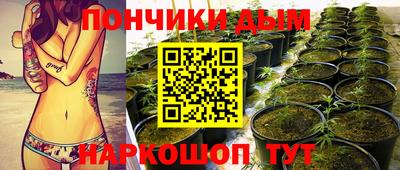 ПСИЛОЦИБИНОВЫЕ ГРИБЫ Пушкино