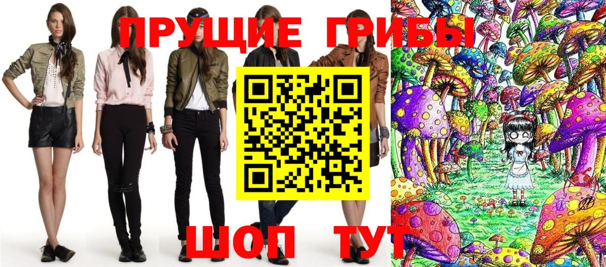 Галлюциногенные грибы Psilocybine cubensis Сатка